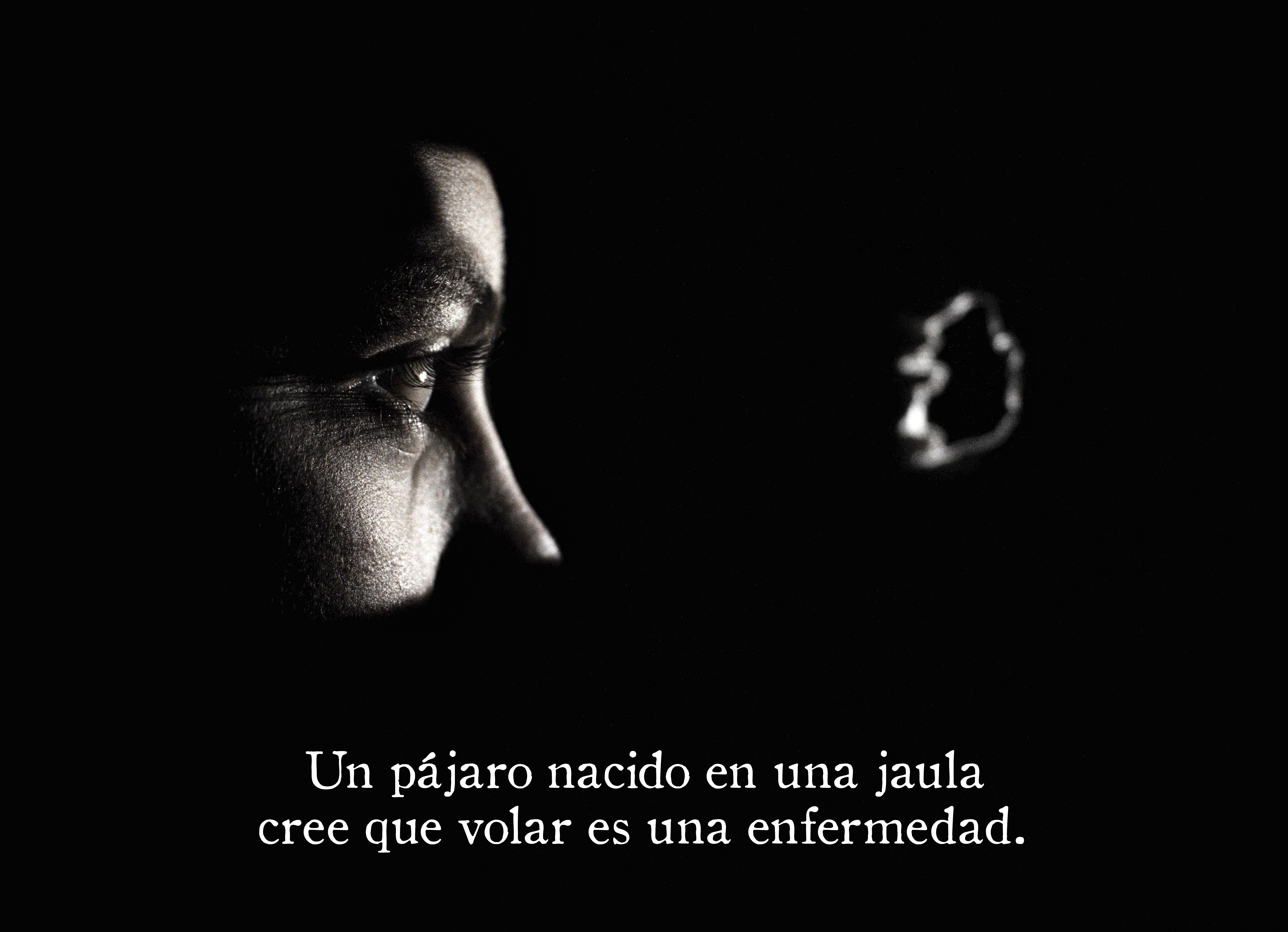 2º PREMIO Javier Morillo Cano y Ruben Rico Portillo . La caja de cartón.