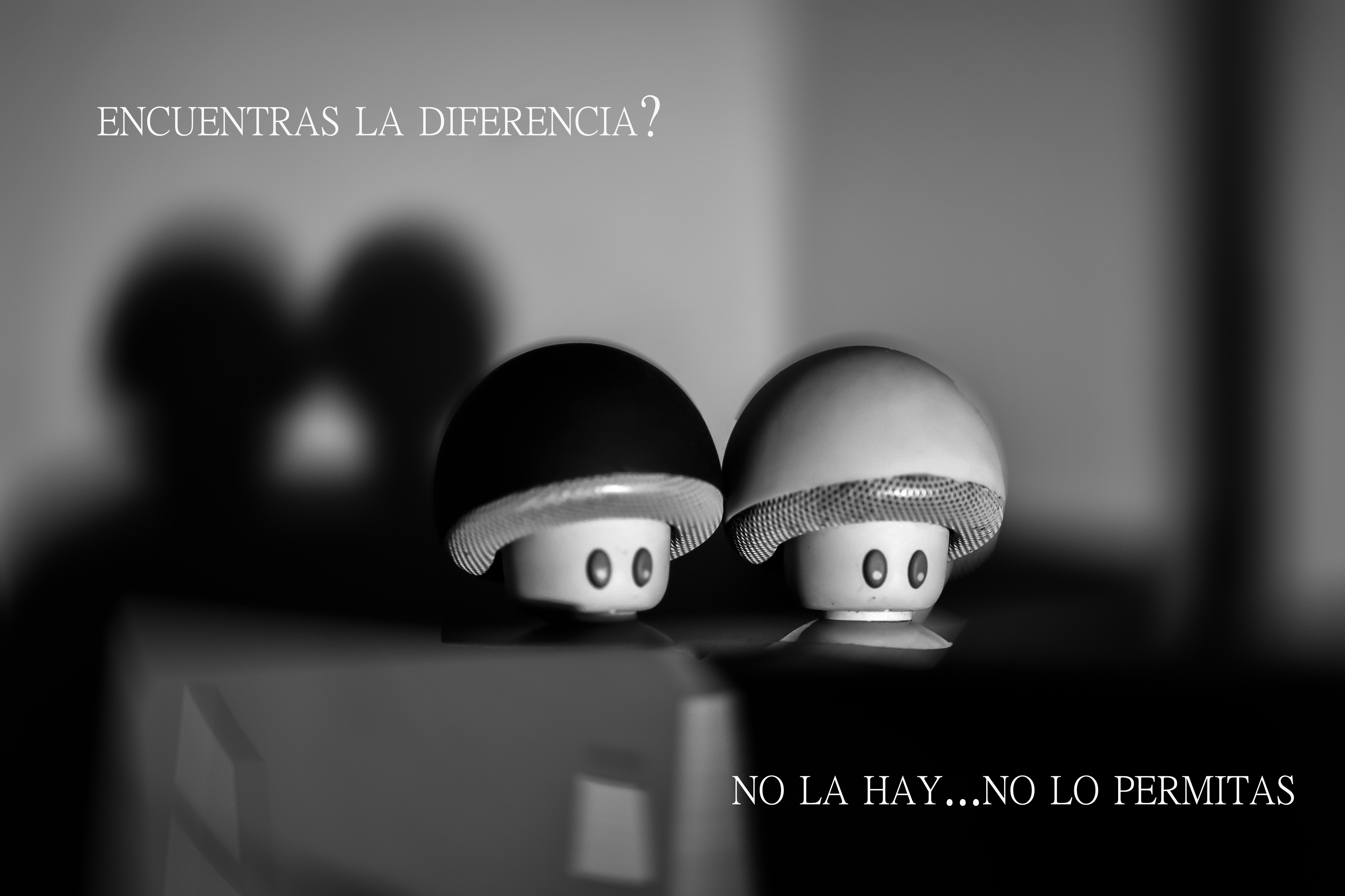 3º PREMIO. SAUL BELTRAN GORDILLO 1A. No...